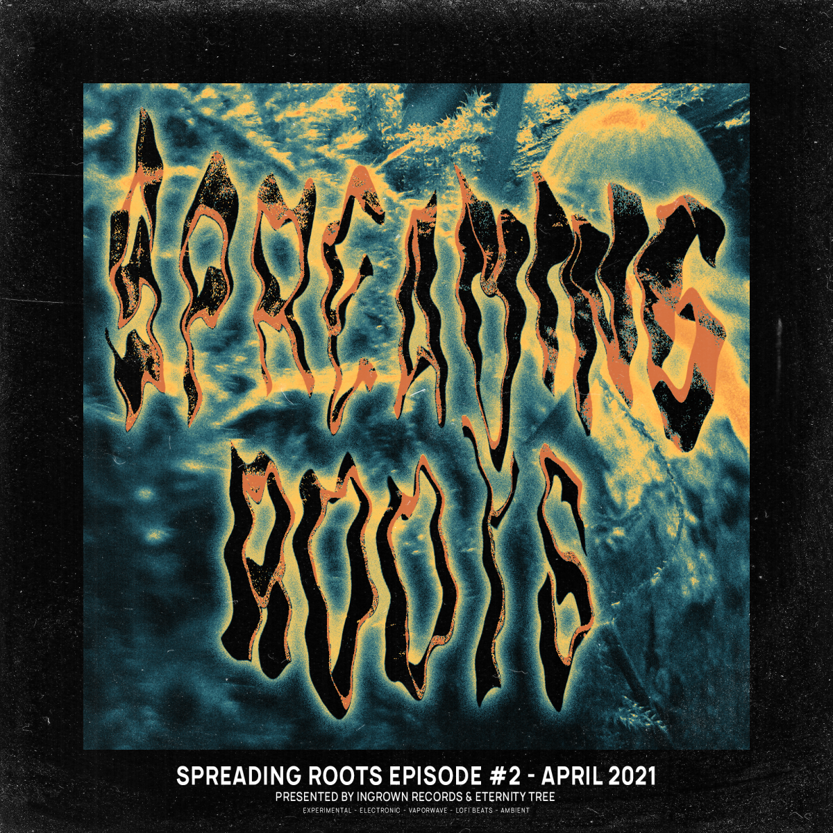Spreading Roots Episode #2