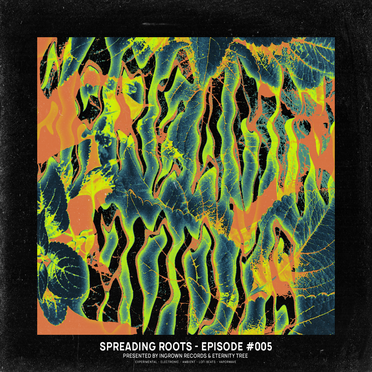 Spreading Roots Episode #5